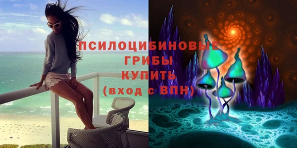 мяу мяу мука Алзамай