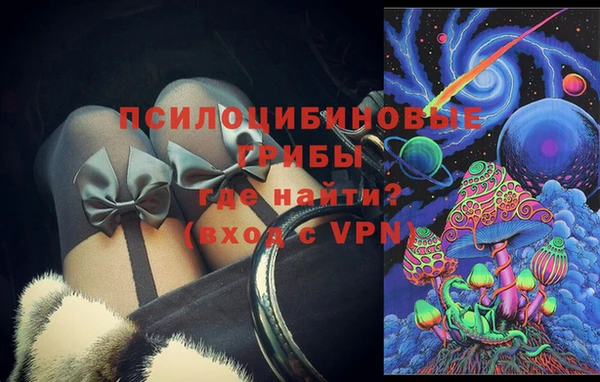 мяу мяу мука Алзамай