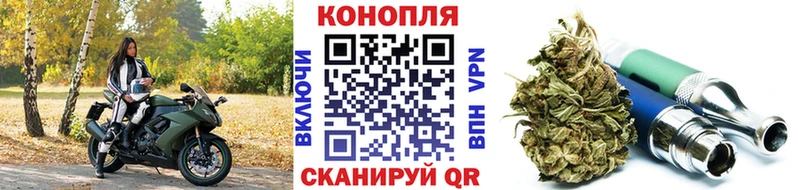 Каннабис OG Kush  купить наркотик  Красавино 